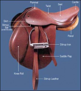 Saddle fit - What does it really mean? Part 1 - Equitopia
